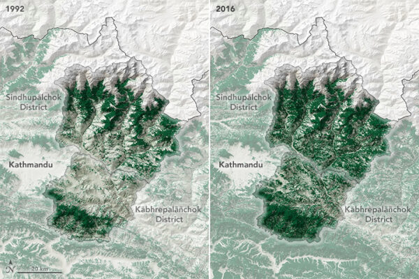 Nepal almost doubled its country’s forests in three decades